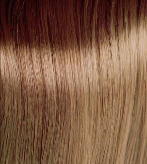 IKON Light Chocolate Blonde  Hair Colour | OSMO®